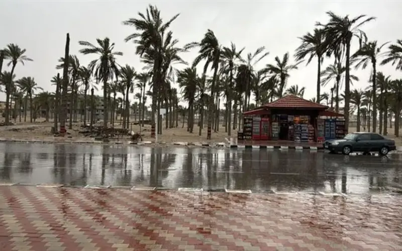 الأرصاد: منخفض جوي جديد والأمطار متواصلة على القاهرة والجيزة | عاجل